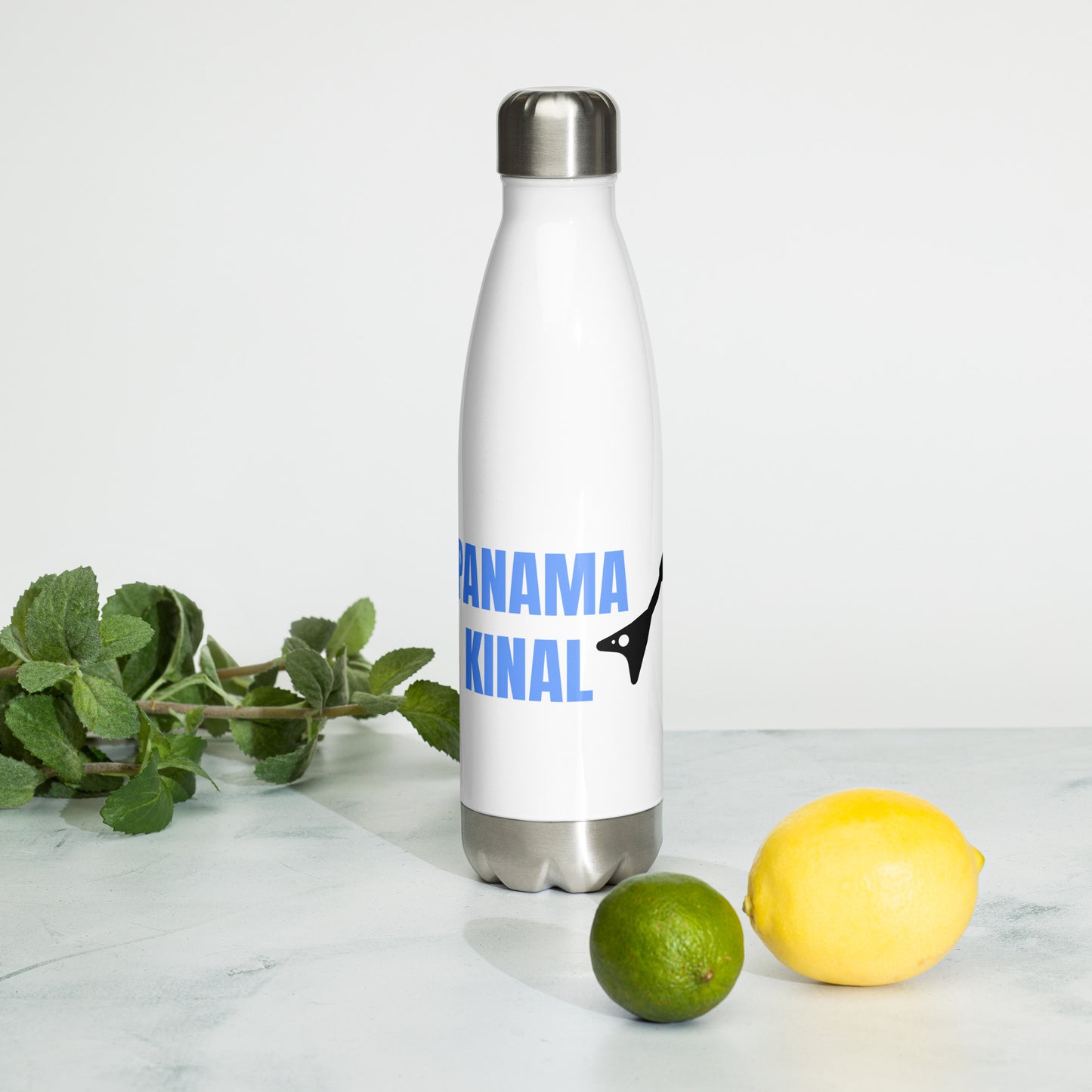 Panama Kinal Stainless Steel Water Bottle